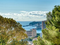 Пентхаус с видом на море и Монако в Рокебрюн